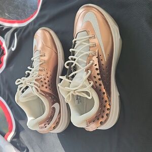 Nike Bronze Shoes